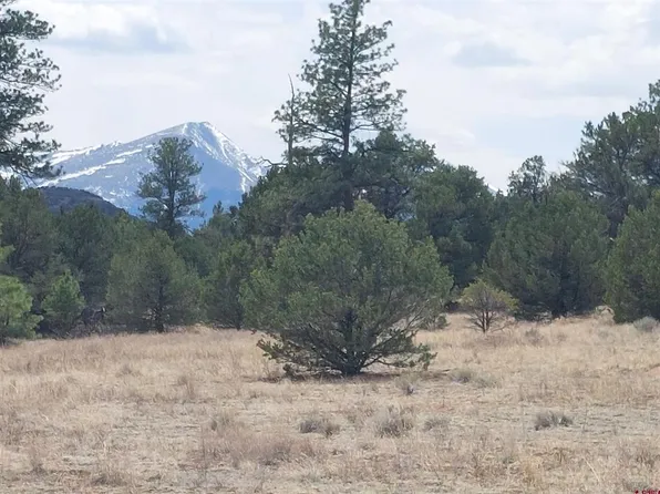 tbd Q Path and M Path, Cotopaxi, CO 81223