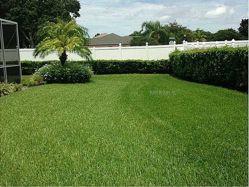large fenced in yard