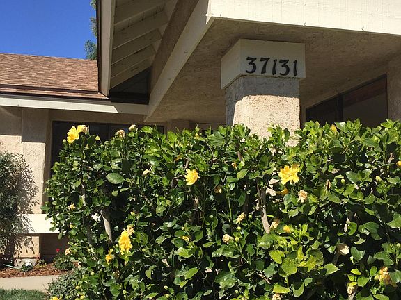 3rd image of 37131 Village 37 #37