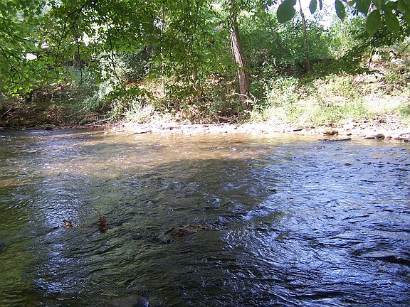 Along creek front, facing SW