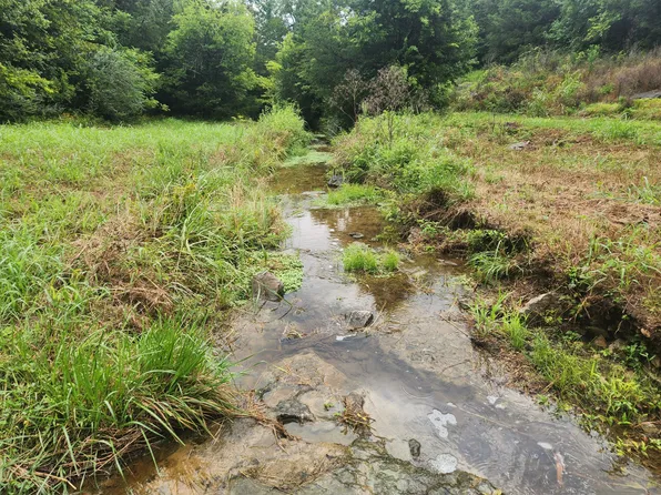 0 Tolbert Hollow Rd, Bradyville, TN 37026