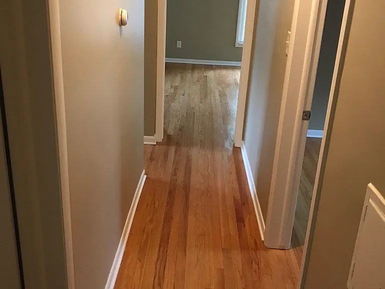 723 Butternut Ave — Photo 19
