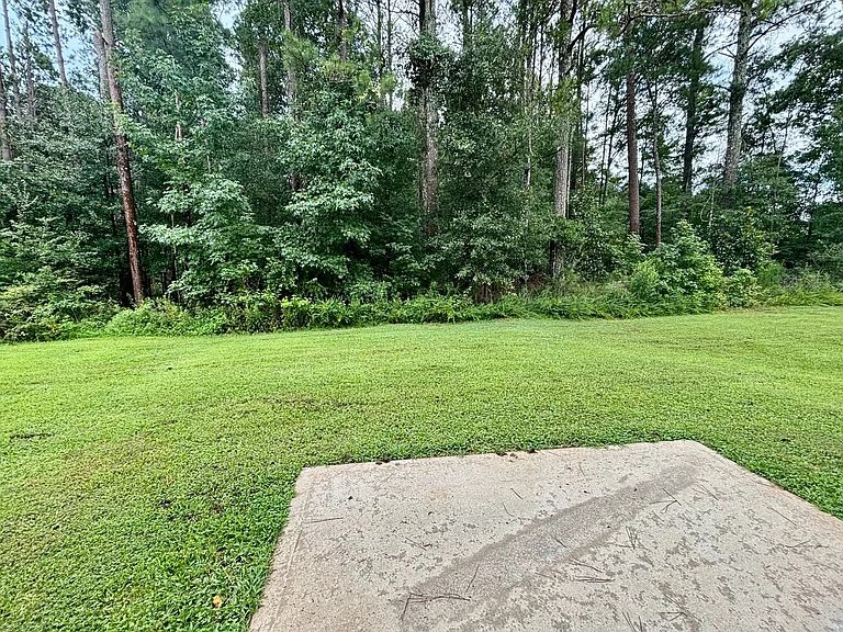 629 Carlton Pointe Dr — Photo 20
