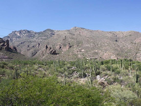 4th image of 6655 N Canyon Crest Dr Unit 6234