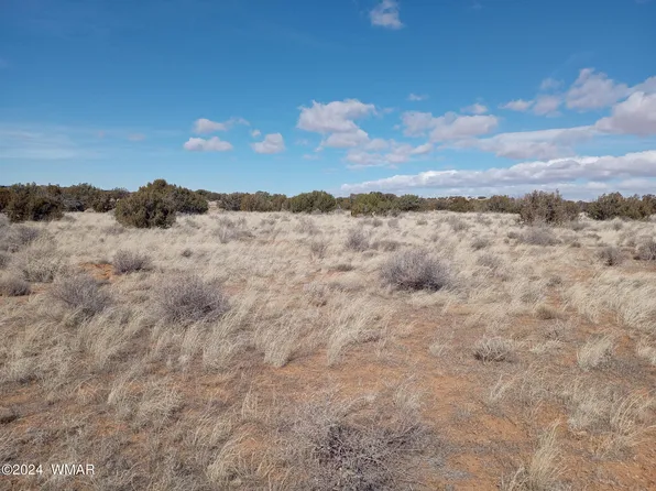 7664 Juniper Berry Trl, Snowflake, AZ 85937