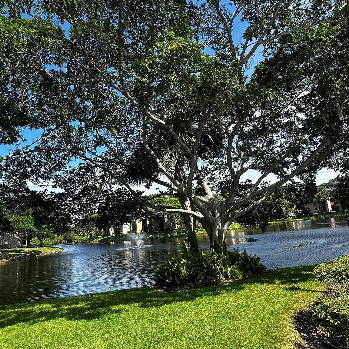 Waters Edge at Deerfield Confom — Photo 1