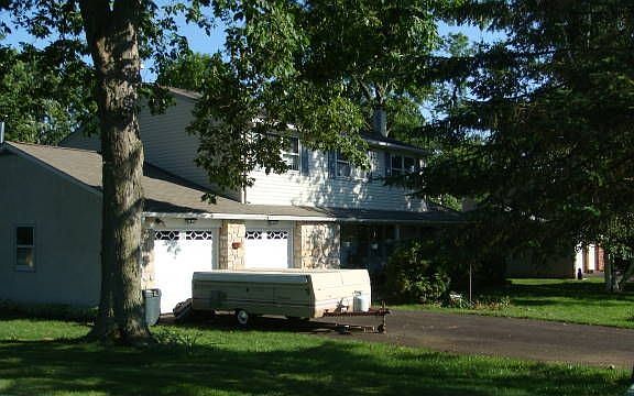 Front view beautiful trees