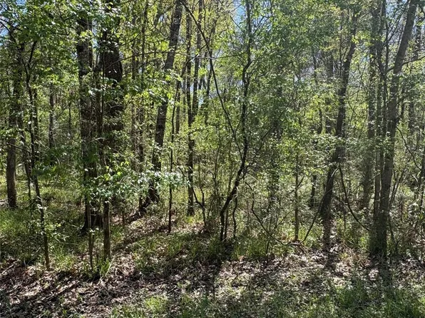 County Road 2505 Lot 27, Liberty, TX 77575