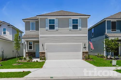 56 Brazil Nut Cir Photo 1