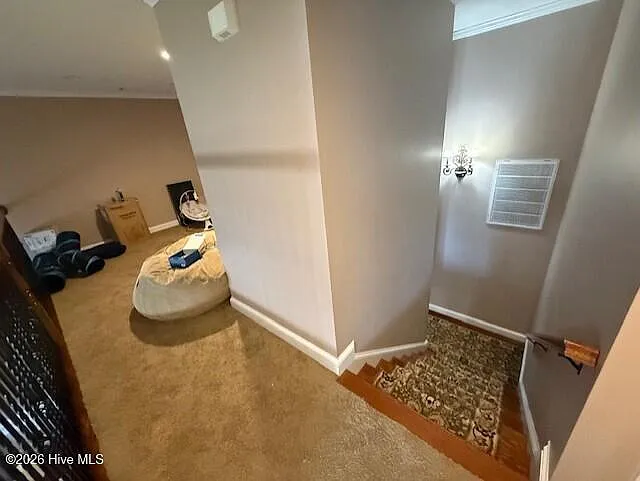 817 Mayo Ln — Photo 10
