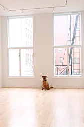 Rented by True Lofts New York LLC