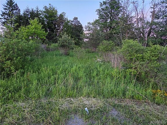 5th image of Horn Hill Rd Lot 4