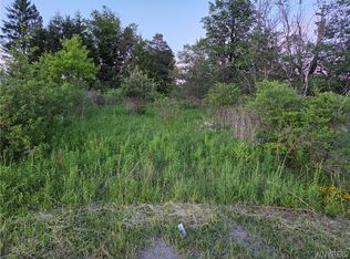 Horn Hill Rd Lot 4, Ellicottville, NY 14731