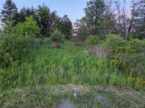 Horn Hill Rd Lot 4, Ellicottville, NY 14731