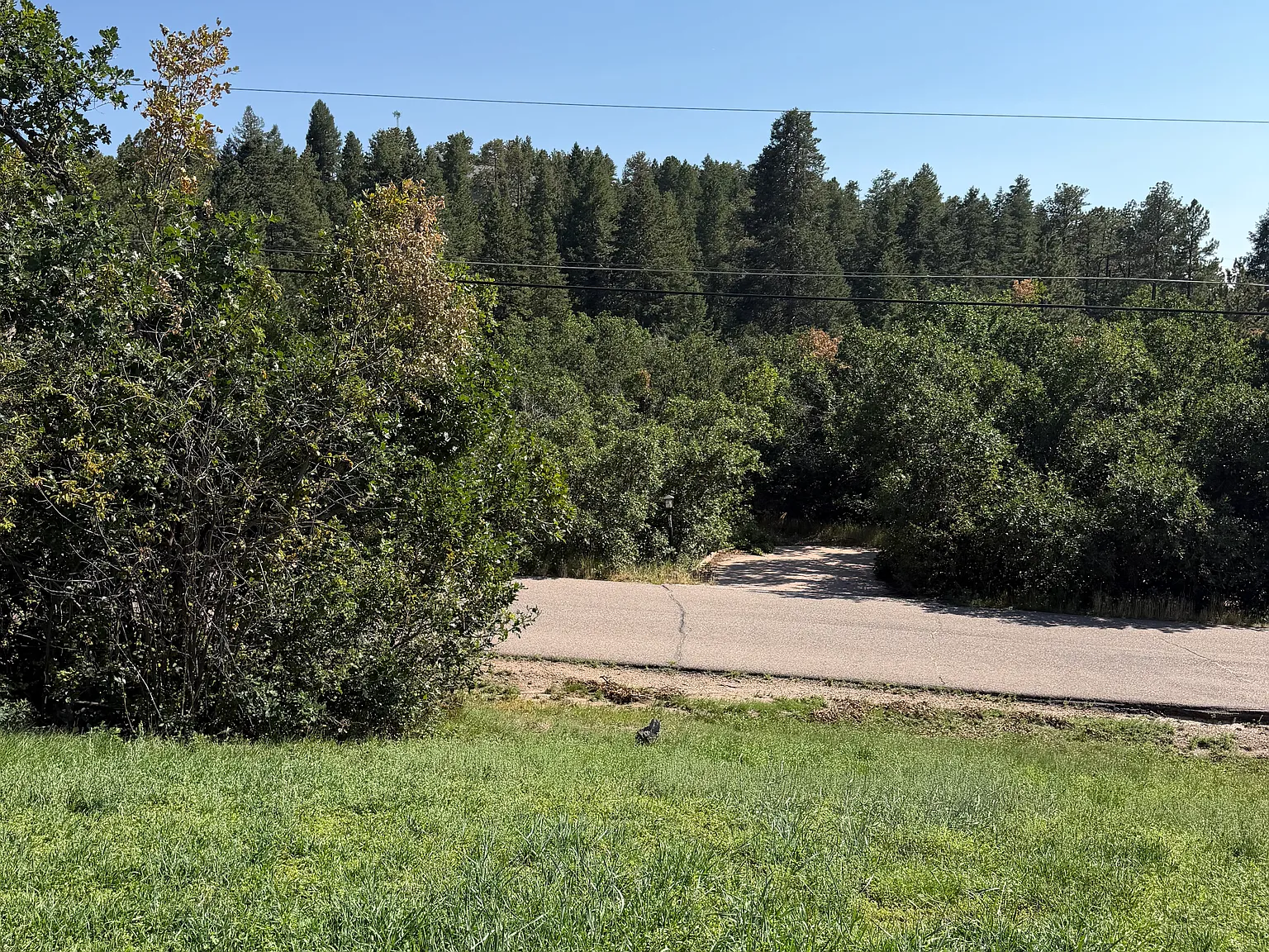 5 bed, 5500 sqft, $5,000 — Photo 1