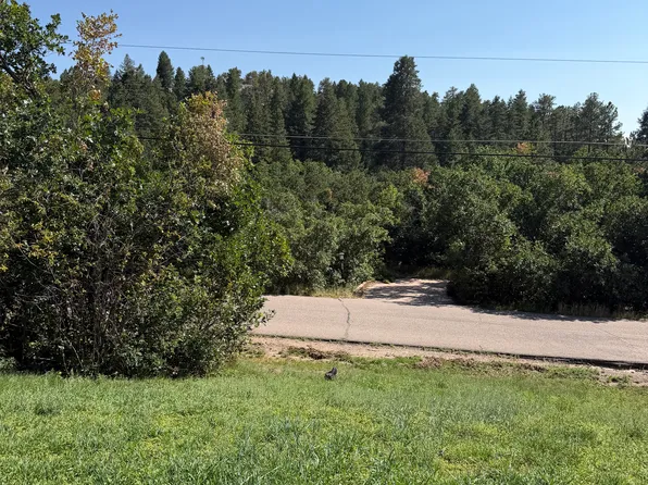 985 E Possee Rd, Castle Rock, CO 80108