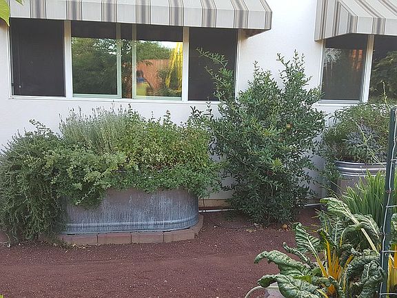 Back of House
