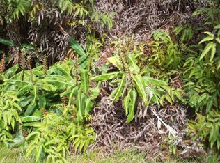 Nalehua Rd LOT 8616, Volcano, HI 96785