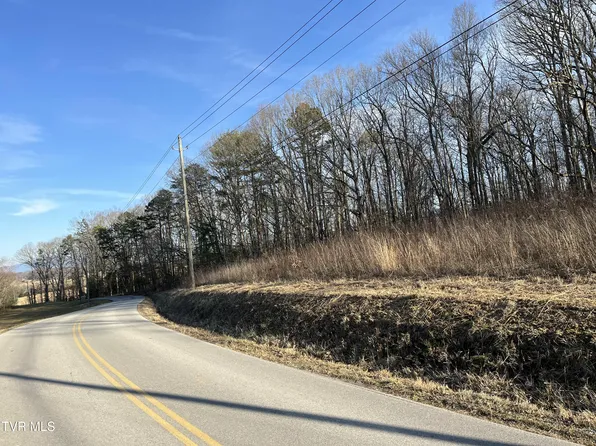 W Allens Bridge Rd, Greeneville, TN 37743