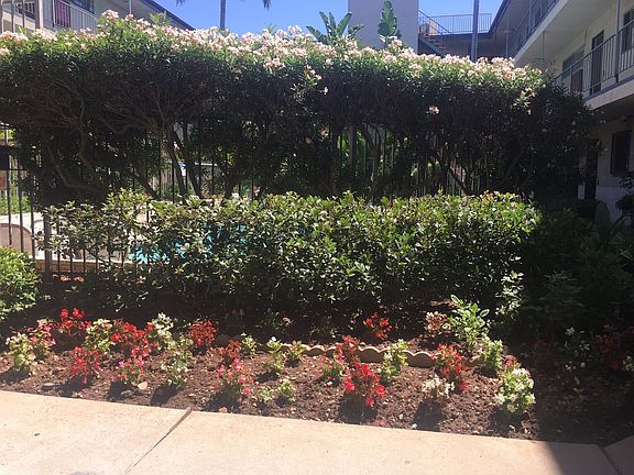 2nd image of 514 N Wilcox Ave APT 8