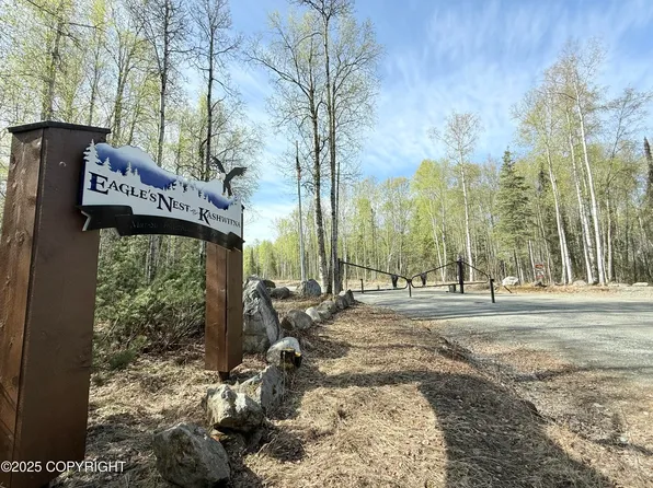 20001 E Goshawk Way, Talkeetna, AK 99676
