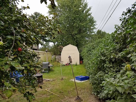 Side yard and shed
