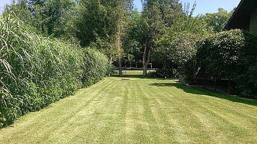 Backyard facing Henes Park