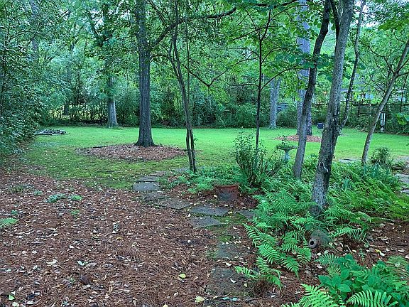 Back yard