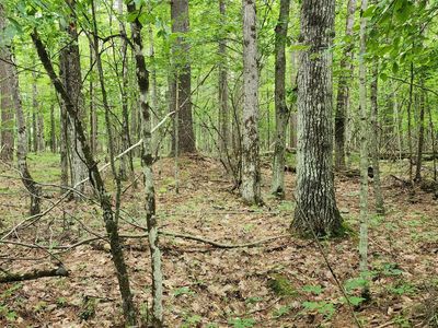 0 Spruce Ln, Jay, NY, 12941
