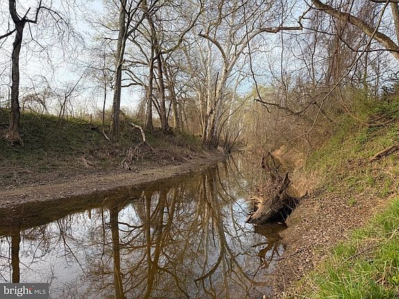 5th image of 0 Paynes Pond Rd