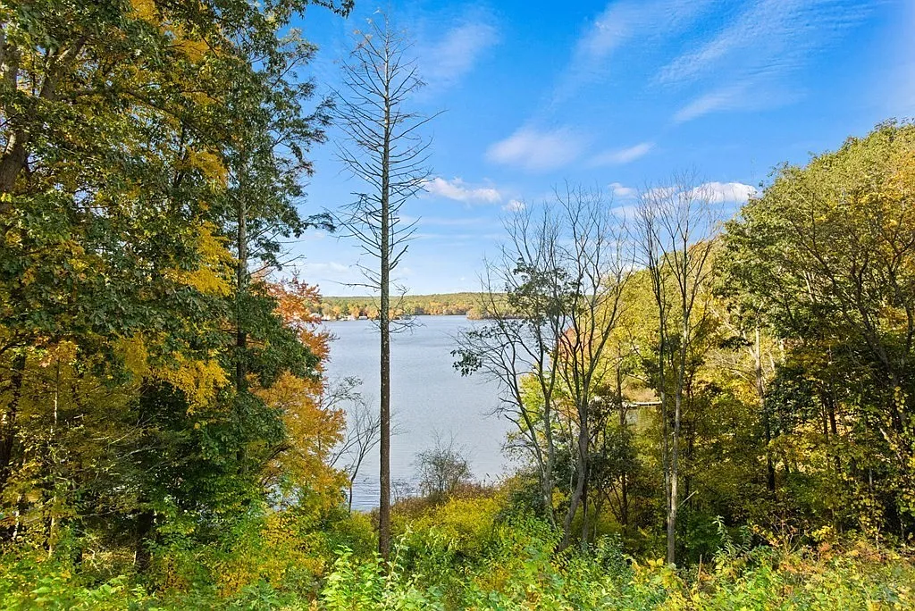 1 bed, 1.0 bath, 780 sqft, $1,900 — Photo 4