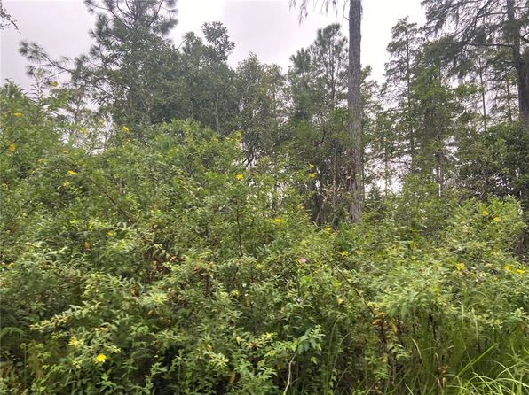 No Name St PARCEL 28173102040230, Lake Helen, FL 32744