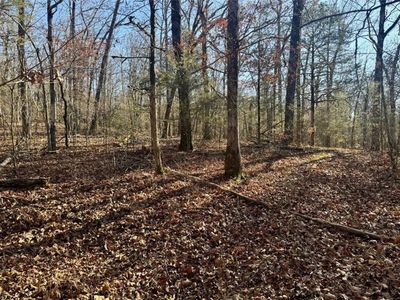 Zachary Trl, Rudy, AR, 72952