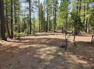 876 Blue Knoll Rd, Greenville, CA 95947