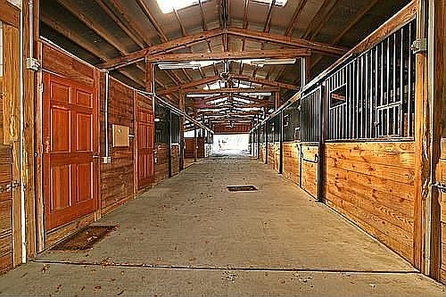 Horse Stable
