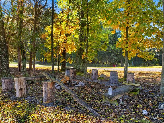 41st image of this home