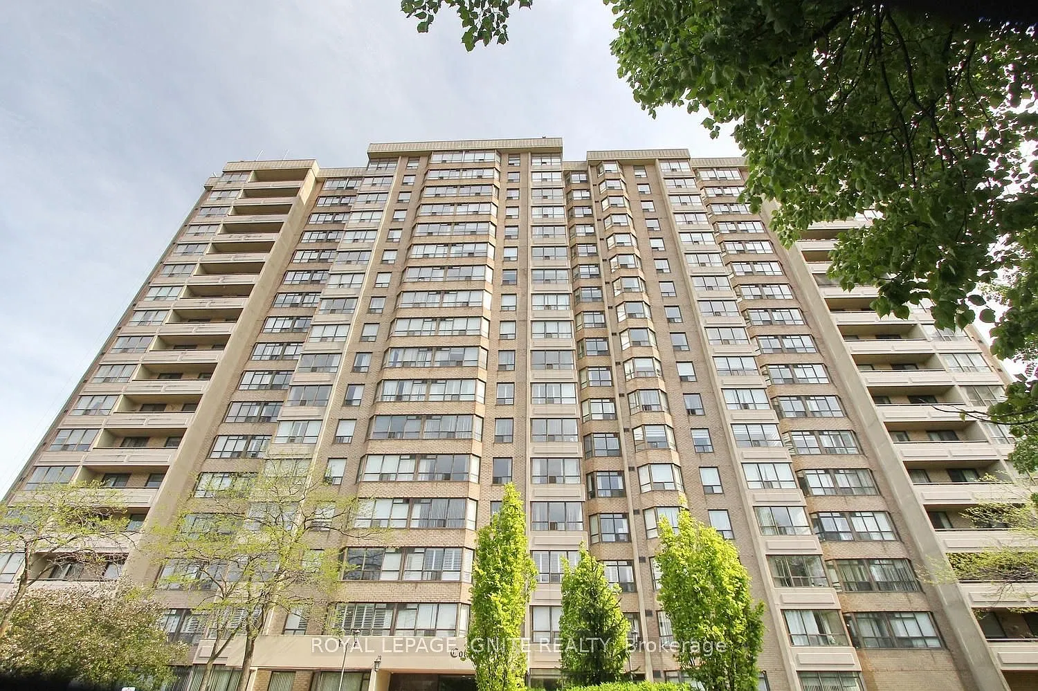 3 bed, $3,100 — Photo 2