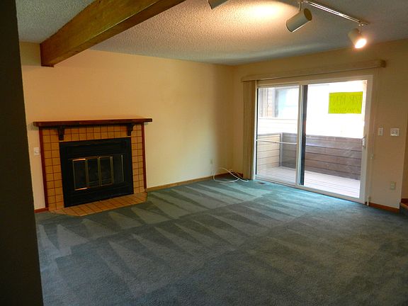 Fireplace with patio doors