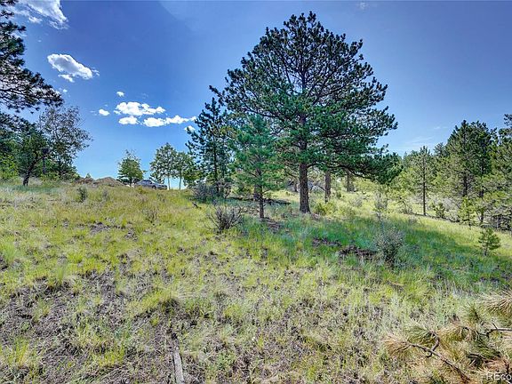 3rd image of 33608 Running Bear Trail