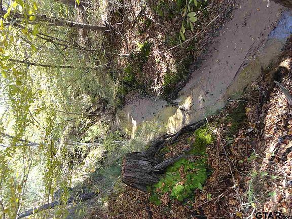 5th image of 6935 State Highway 175