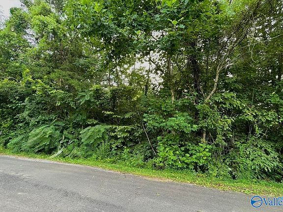 5th image of LOT 11 Plains Ave SW