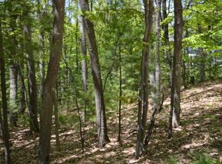 0 Mountain Rd, Rapid City, MI 49676