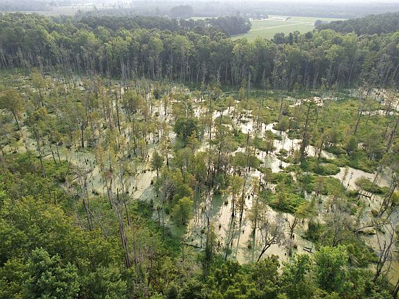 2nd image of 85± Acres - Antler Dr