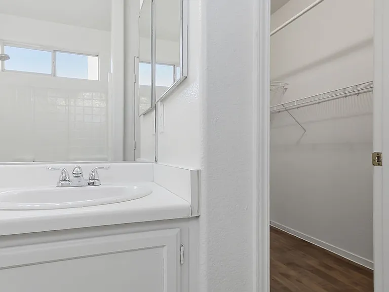 2529 Rainbow Cactus Ct — Photo 18
