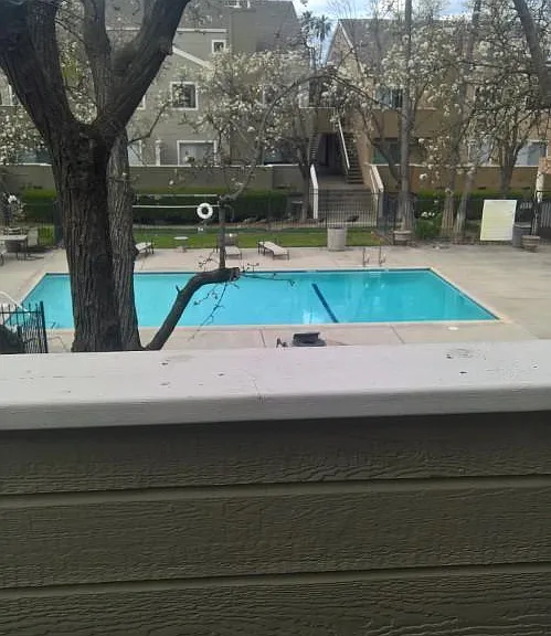 1019 Dornajo Way #220 — Photo 8