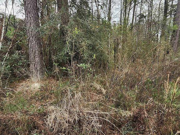 2nd image of TRACT Six Reinninger Rd #A