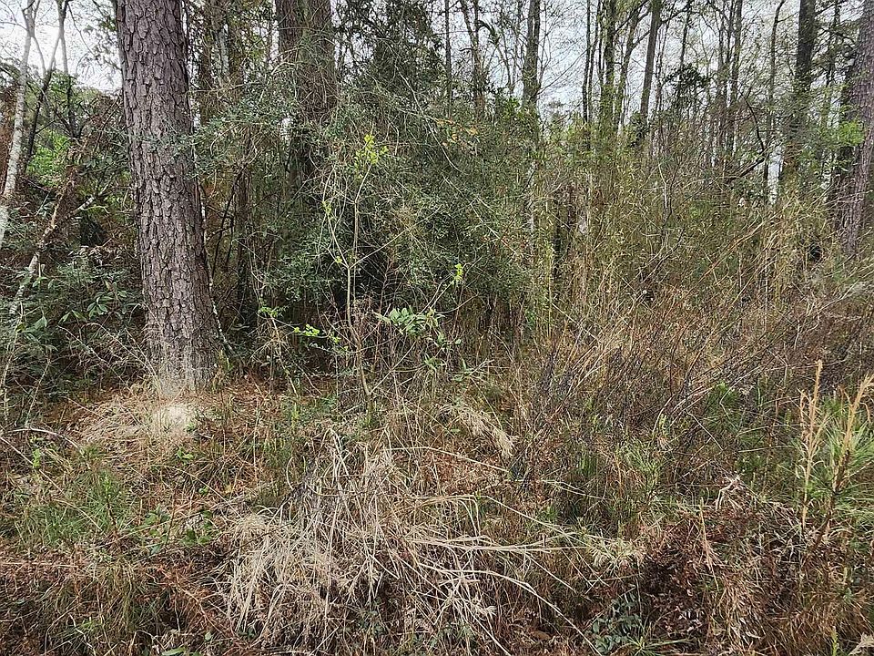 2nd image of TRACT Six Reinninger Rd #A