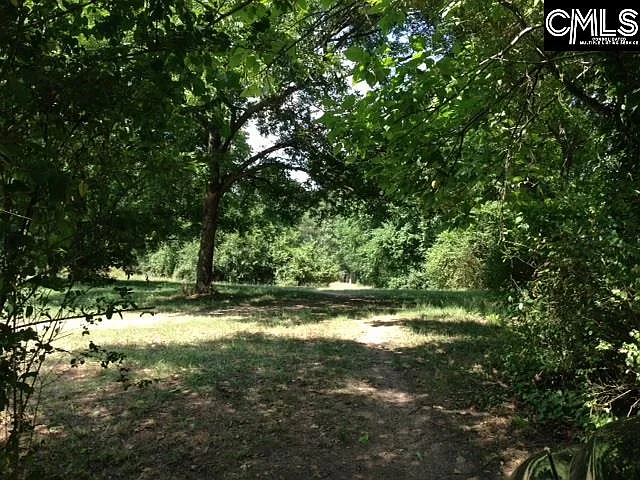 11232 Broad River Rd — Photo 13