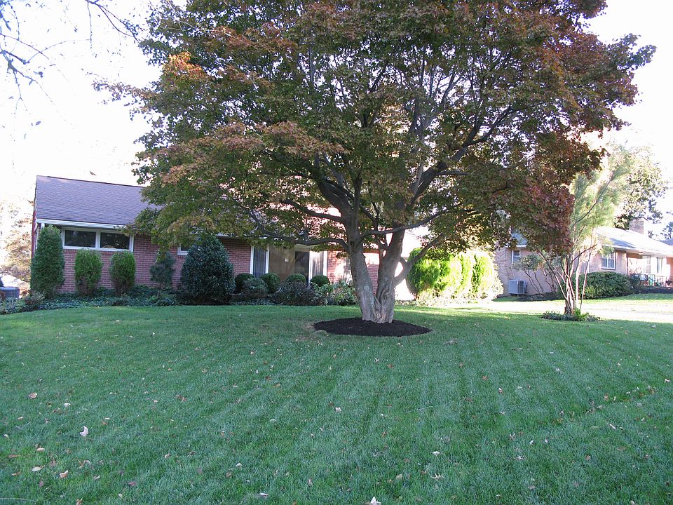 Mature trees. Backyard fence