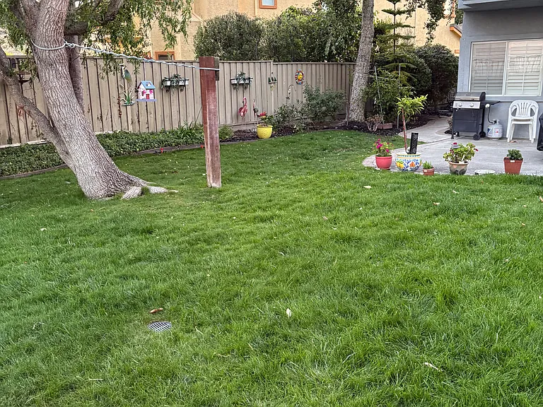 26215 Acclaim Ct — Photo 16